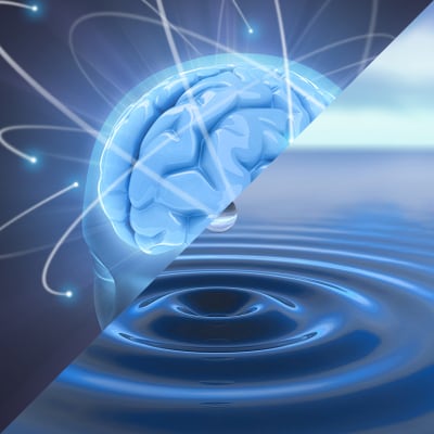 Basic + Advanced Workshops bundle